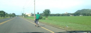 Bikes on road 4