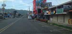 Horse on street