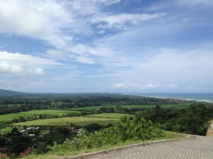 Up the road from Ficus Tree