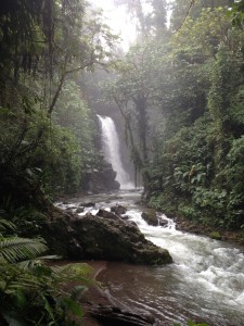 La Paz-Waterfall